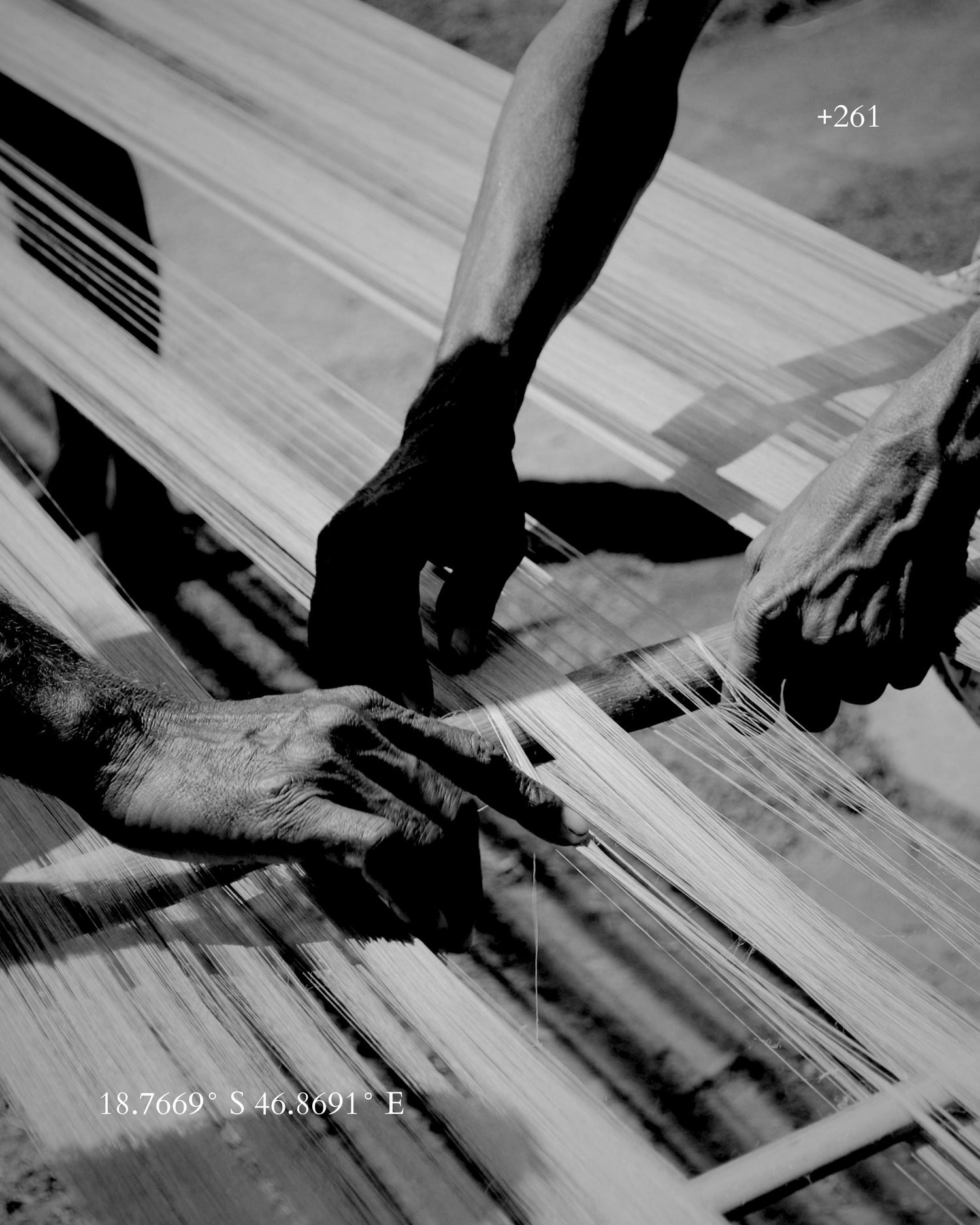 Madagascar | Foránea